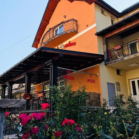 Pensiunea Montana Borsa Mm Băile Borşa Екстериор снимка