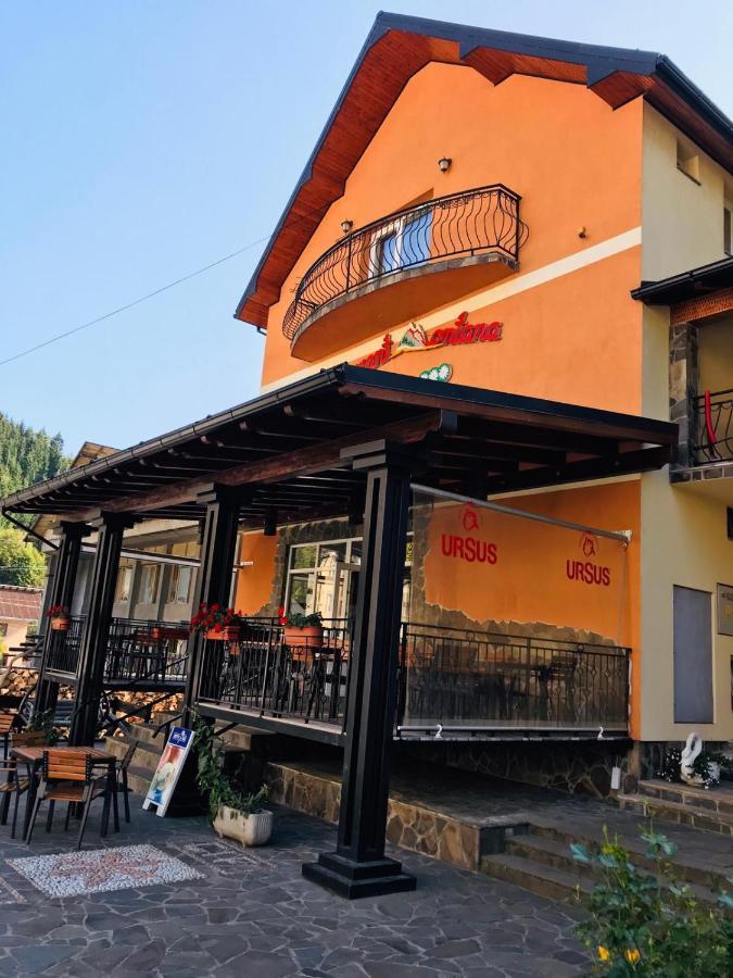 Pensiunea Montana Borsa Mm Băile Borşa Екстериор снимка